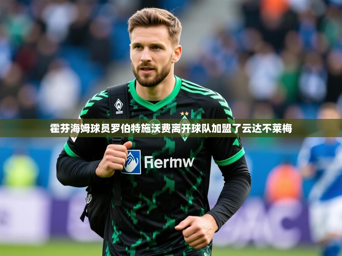2025迈博体育霍芬海姆球员罗伯特施沃费离开球队加盟了云达不莱梅