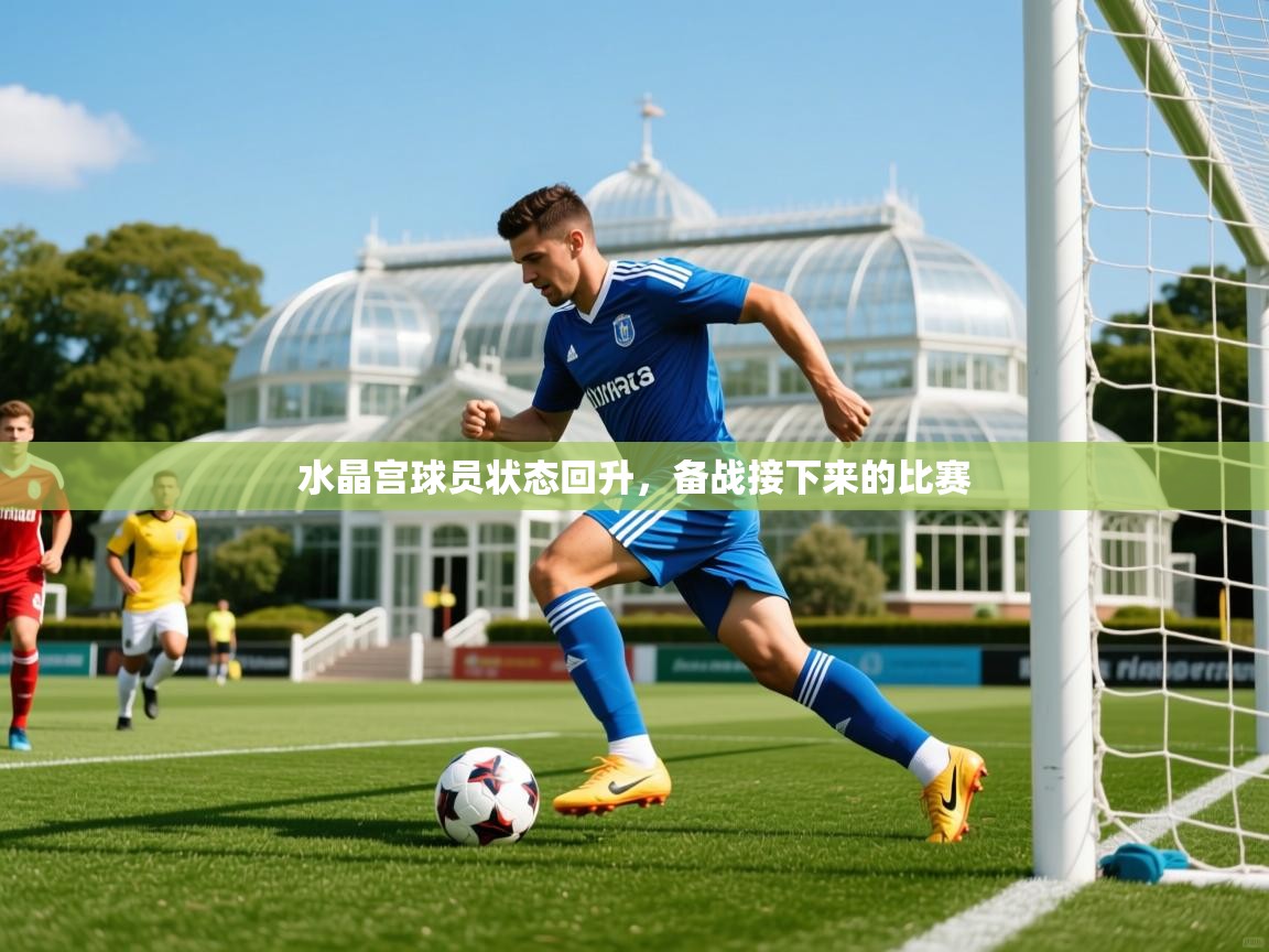 2025迈博体育在线水晶宫球员状态回升,备战接下来的比赛 第2张