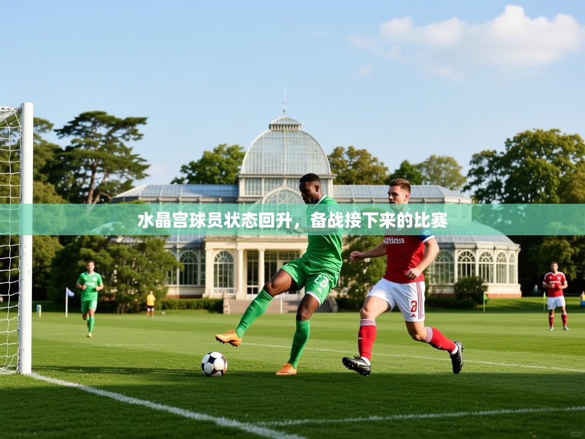 2025迈博体育在线水晶宫球员状态回升,备战接下来的比赛 第3张
