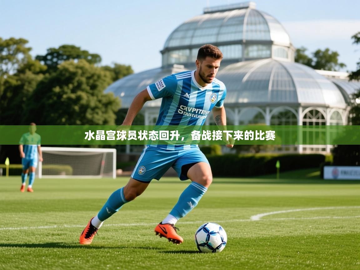 2025迈博体育在线水晶宫球员状态回升,备战接下来的比赛 第4张