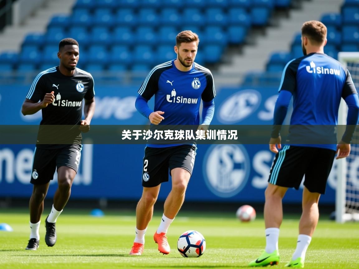2026迈博体育在线关于沙尔克球队集训情况  第3张